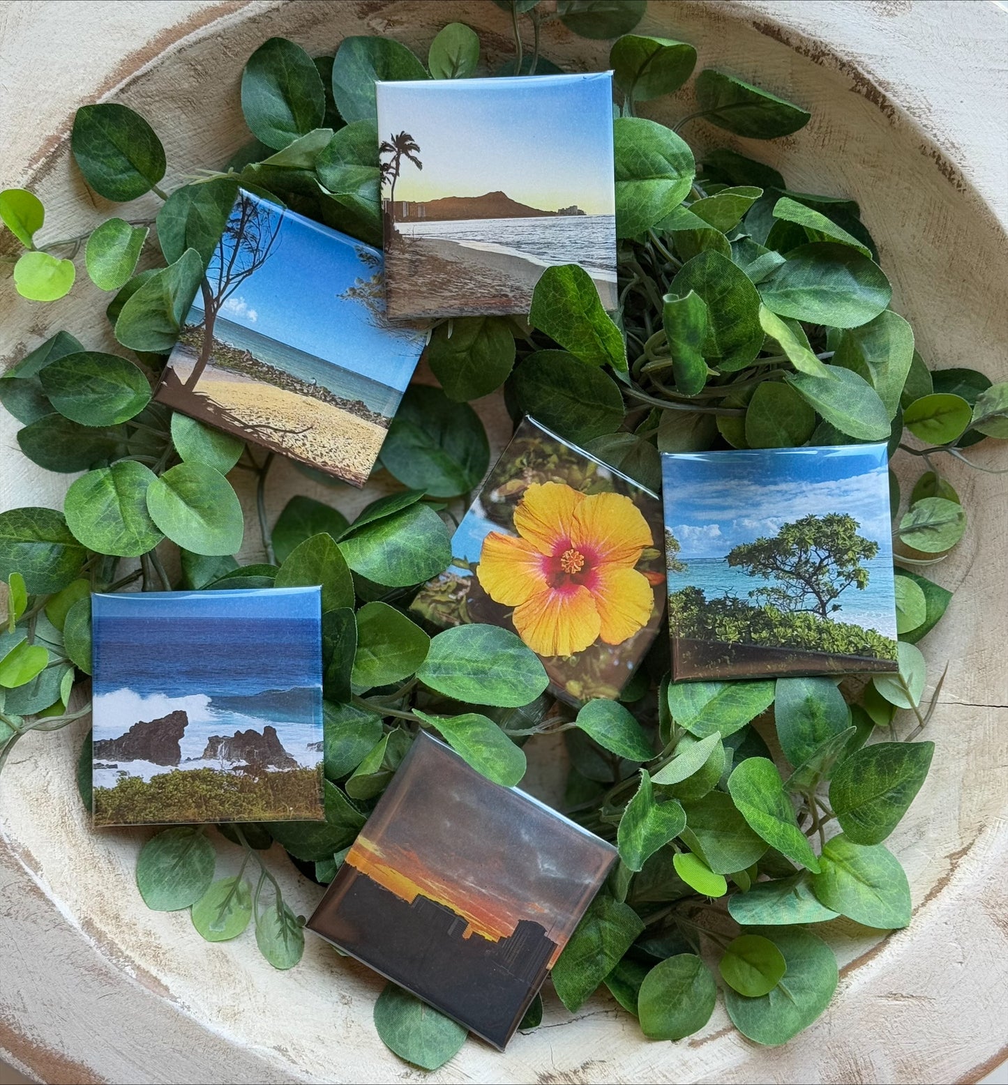 6 Magnet Set